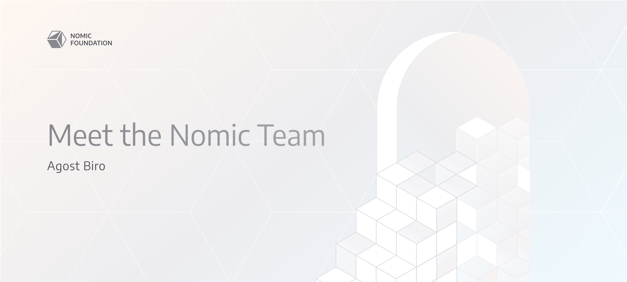 Meet the Nomic Team  - Agost Biro, Software Engineer on EDR