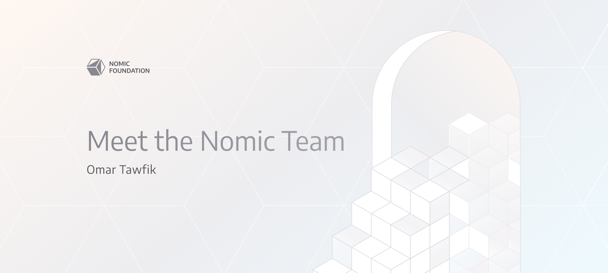 Meet the Nomic Team  — Omar Tawfik, Software Engineer on Slang
